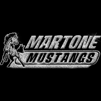 GLT102 SILVER GLITTER Thumbnail